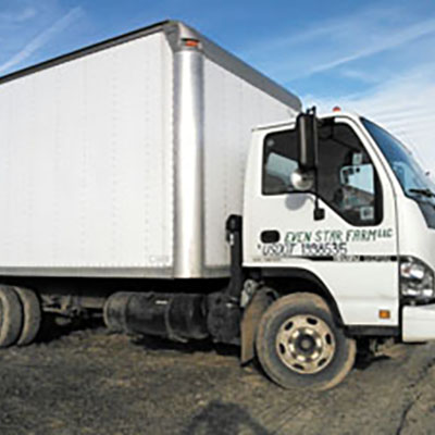Tips for choosing the right delivery vehicle